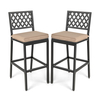 Set of 2 Metal Frame Patio Bar Stools with Detachable Cushion and Footrest-Black