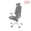 FlexiSpot BS11PRO Mesh Ergonomic Adjustable Office Chair , Comfortable Computer Chair with Arms and Back Support for Study Office Gaming Works Grey