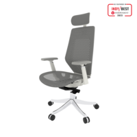 FlexiSpot BS11PRO Mesh Ergonomic Adjustable Office Chair , Comfortable Computer Chair with Arms and Back Support for Study Office Gaming Works Grey