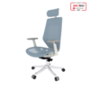 FlexiSpot BS11PRO Mesh Ergonomic Adjustable Office Chair , Comfortable Computer Chair with Arms and Back Support Slove Back Pain Light Blue