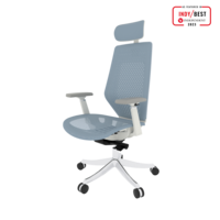FlexiSpot BS11PRO Mesh Ergonomic Adjustable Office Chair , Comfortable Computer Chair with Arms and Back Support Slove Back Pain Light Blue