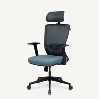 FlexiSpot BS3 Chair Ergonomic Office Chair Ergonomic Resilient Swivel Study Office Chair in Blue with Arms and Back Support 