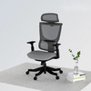 FlexiSpot BS8 mesh Ergonomic Adjustable Office Chair , Comfortable Computer Chair with Arms and Back Support for Study Office Works Grey Delivered Flat Packed