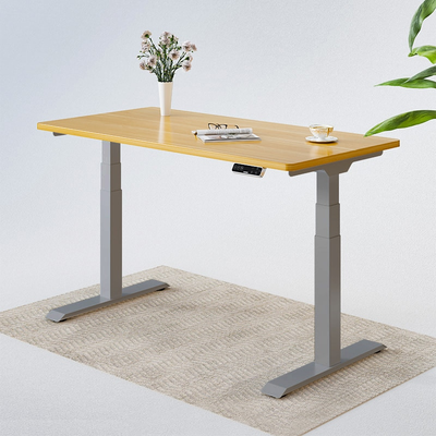 FlexiSpot E7 Standing Desk
Electric Height Adjustable
Standing Desk 3-Stage
Rectangle Desk With Dual-motor
Lifting System for Home Office
Study Gaming Sliver