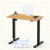 FlexiSpot EG1 Electric Height Adjustable Ergonomic Standing Desk for Home Office Study Gaming Black
