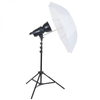 Interfit F121 100W Single Head Umbrella Kit