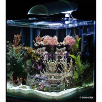 Dennerle Nano Marinus Cube Complete PLUS 30 Litres - Size 30 x 30 x 35 cm (L x W
