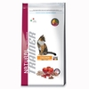 Nova Foods Trainer Natural Adult Chicken - 2 kg