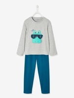 Dino Pyjamas for Boys grey light mixed color