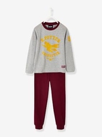 Printed Harry Potter® Pyjamas for Boys grey medium mixed color
