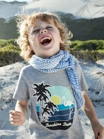 Printed T-Shirt for Boys grey light mixed color